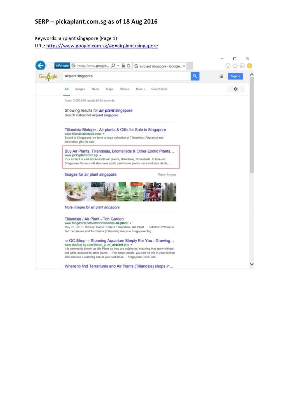 Google Ranking on Page 1